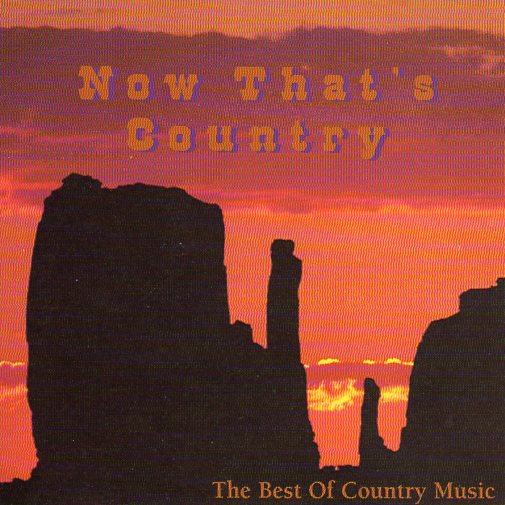 Cat. No. 2111: VARIOUS ARTISTS ~ NOW THAT'S COUNTRY. NO LABEL.